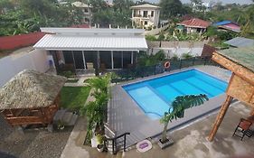 Palm View Moalboal